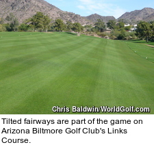 Arizona Biltmore Links Course - Fairways