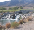 Raven at Verrado