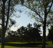 Sometimes you have to shoot between the trees at Biltmore Links.