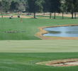Even the ducks want a good view of your approach on Omni Tucson National Catalina Course's 18th.