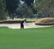 The bunkers are well placed and scorecard-altering on Omni Tucson National Catalina Course.