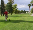 Wigwam Blue - Phoenix-Scottsdale area resort golf course - Robert Trent Jones design