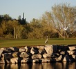 SunRidge Canyon Golf Club has a natural setting that welcomes birdlife and other wild animals. 