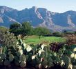 Greg Nash designed The Views Golf Club at Oro Valley, incorporating the native cacti that dot the terrain.