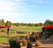 The Raven Golf Club - Phoenix has a large amount of bougainvillea that blooms a colorful red. 