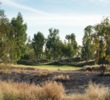 You'll be playing in the woods on the scenic par-3 fourth hole at Ak-Chin Southern Dunes Golf Club in Maricopa, Ariz.