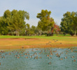 There's more water on the short par-3 17th hole of the Patriot golf course at The Wigwam resort in Litchfield Park, Arizona.