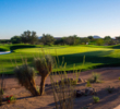 The Stadium Course at TPC Scottsdale sprawls across a Sonoran Desert landscape covered with saguaro cacti and Palo Verde trees.