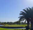 Here's a look from behind the island green par-3 15th on the Patriot Course at The Wigwam resort just west of Phoenix.