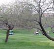 Coyote Lakes Golf Club - Phoenix Scottsdale - Tree shot