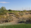 Sanctuary Golf Club at WestWorld