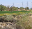 Sanctuary Golf Club at WestWorld