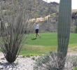 It's easy to get lost amid the cacti at Starr Pass Coyote.
