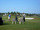 Golf Lessons