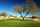 Hilton El Conquistador C.C. - Conquistador golf course - hole 1