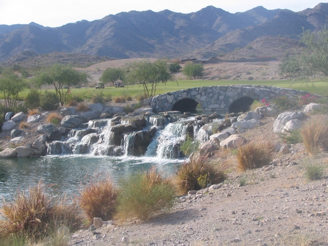 Raven at Verrado