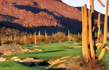 Gallery at Dove Mountain - South