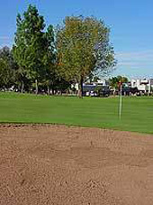 Dobson Ranch Golf Course