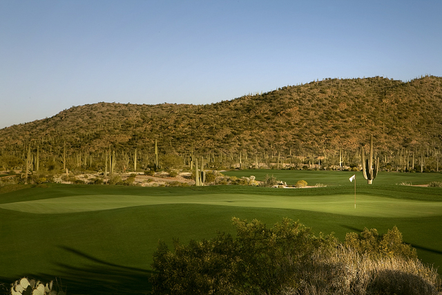 Ritz-Carlton G.C., Dove Mountain - Saguaro - hole 9