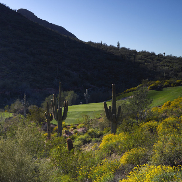 Eagle Mountain Golf Club - hole 14