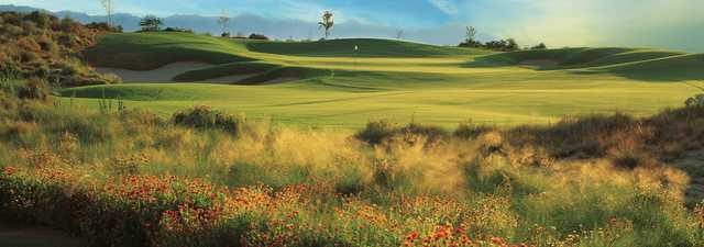 Devil's Claw at Whirlwind GC: #9