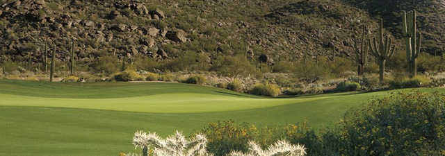 The GC at Dove Mountain - Tortolita