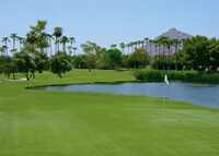 Executive at Continental Golf Course