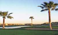 Oasis GC