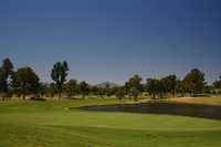 Omni Tucson National - Catalin: #3