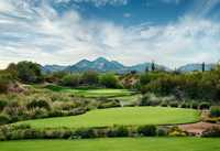 Cholla at We-Ko-Pa GC: #5