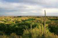 Mountain at Ventana Canyon
