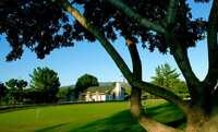 Kino Springs GC: putting green
