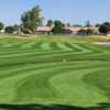 A view from Desert Mirage Golf Course.