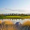 A view over the water of a green at Los Lagos Golf Club.