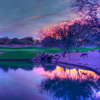 A view of green #17 at McDowell Mountain GC