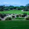 A view of a fairway at Conquistador Course from El Conquistador Golf & Tennis.