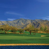 A view of green at SaddleBrooke Ranch Golf Club