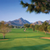 A view of green at Arizona Biltmore Country Club - Links Course