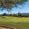 A sunny day view of a green at Tonto Verde Golf Club.