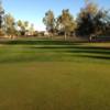 A view of a fairway at Palo Verde Golf Course.