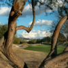 A view of hole #14 at The Champions Course from TPC Scottsdale.