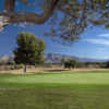 A view from Silverbell Municipal Golf Course