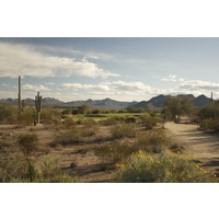 The fifth hole on the Saguaro Course at We-Ko-Pa Golf Club is a 178-yard par 3. 