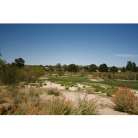 The par-3 13th hole on the Sonoran course at Omni Tucson National Golf Resort plays 169 yards. 