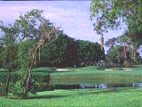 Bay Hill
