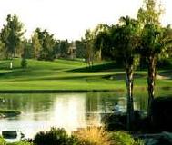 ocotillo