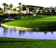 ocotillo