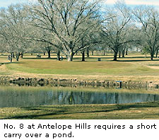 Antelope Hills