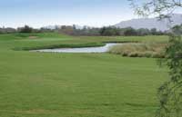 Golf at Bear Creek