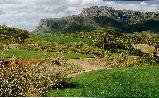 Gold Canyon